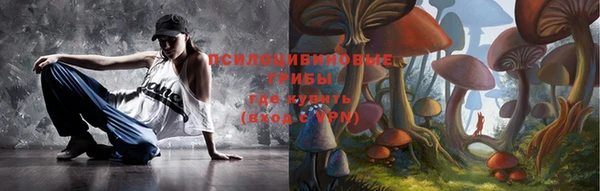 сатива Иннополис