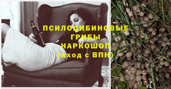 дмт Инта