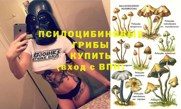 сатива Иннополис