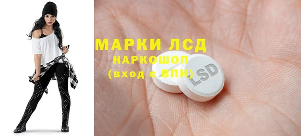 сатива Иннополис