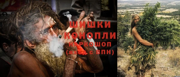 сатива Иннополис