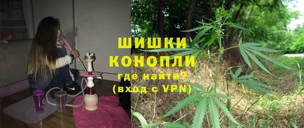 дмт Инта