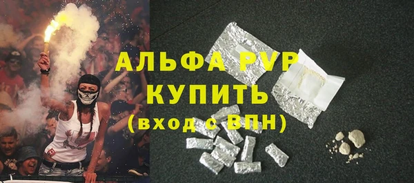 индика Балашиха