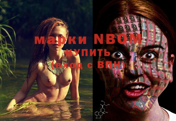 сатива Иннополис