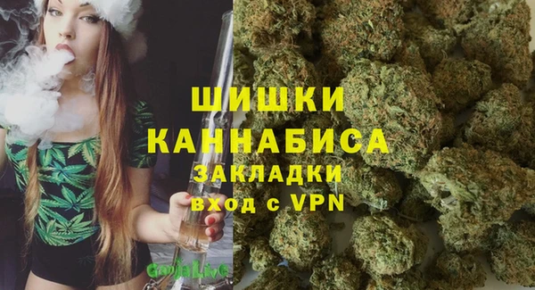 сатива Иннополис
